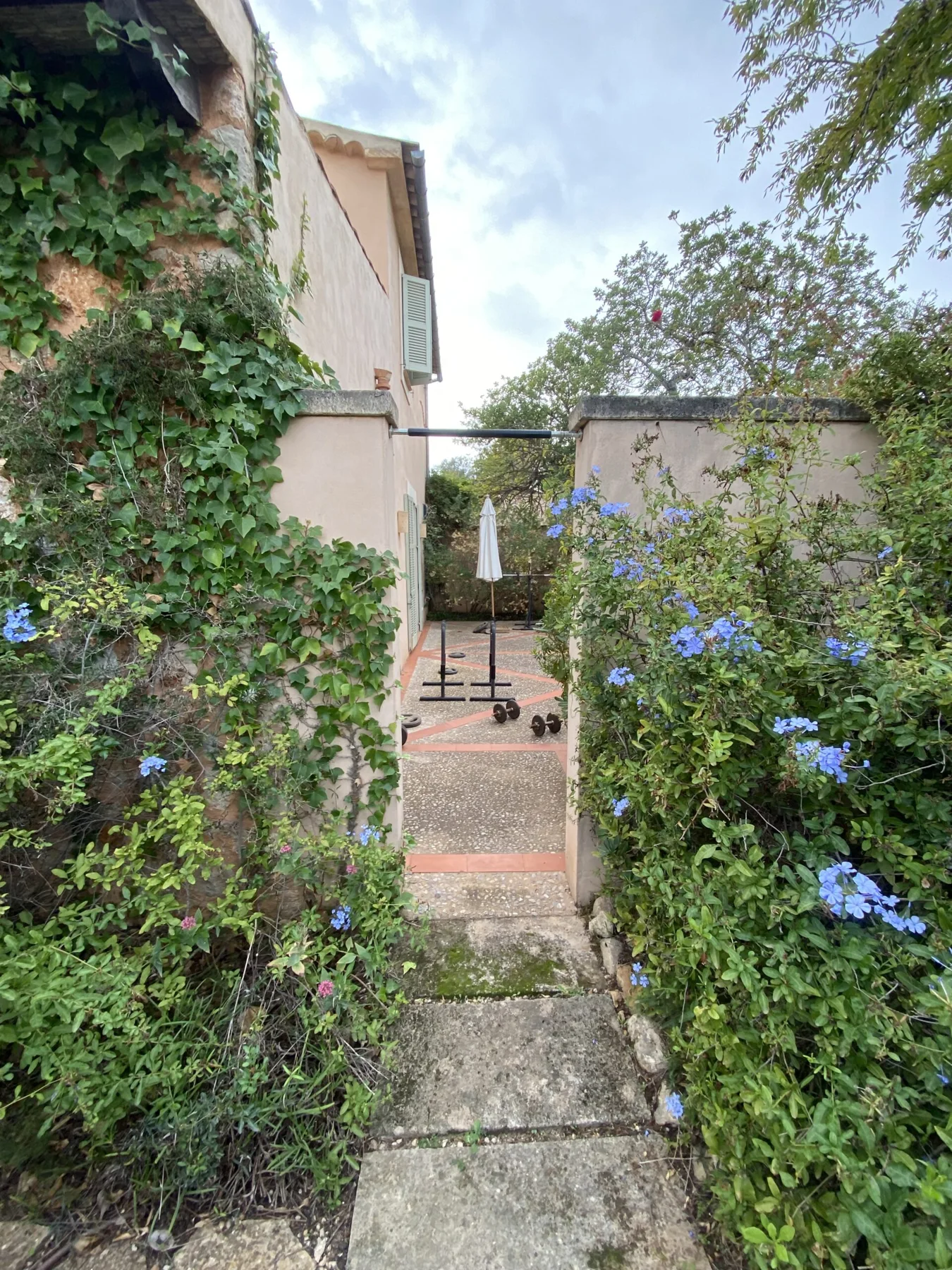 Hagegangen langs huset
